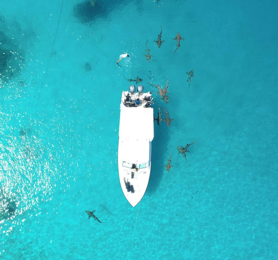 Hotel Ecoboo Maldives Thinadhoo  Esterno foto