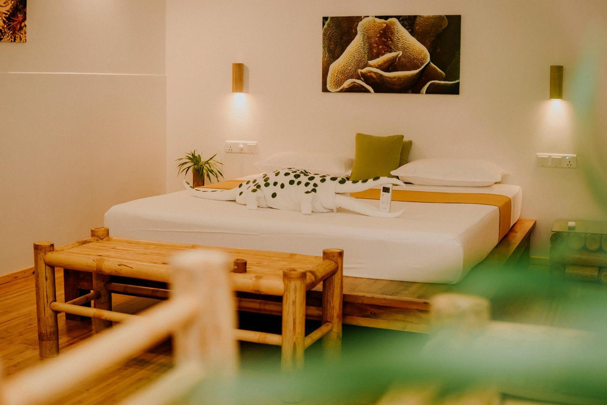 Hotel Ecoboo Maldives Thinadhoo  Esterno foto